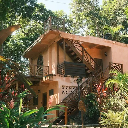 Salvia Madre Villa
